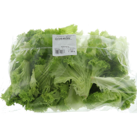 SALADE LOLLO BLONDE GRANDE FEUILLE VKV 500G